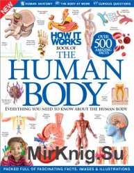 ow It Works - The Human Body /    -  