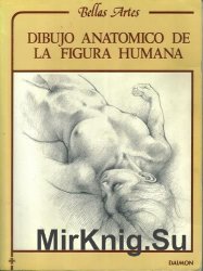 Dibujo Anatomico de la Figura Humana