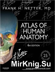 Netter's Atlas of Human Anatomy, 6th Edition