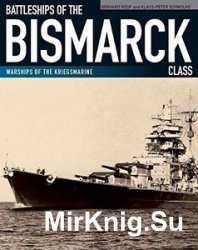 Battleships of the Bismarck Class