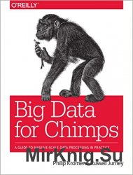Big Data for Chimps (+code)