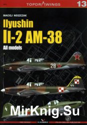 Ilyushin Il-2 AM-38: All models (Kagero Topdrawings 13)