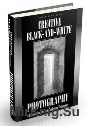 Creative Black and White Photography: Advanced Camera and Darkroom Techniques