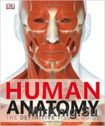 Human Anatomy The Definitive Visual Guide