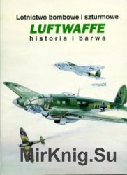 Lotnictwo Bombowe i Sturmowe Luftwaffe (Historia i Barwa)