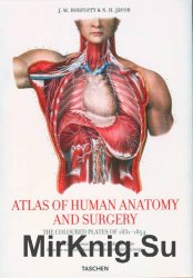 Atlas of Human Anatomy and Surgery /      