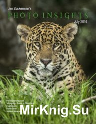 Photo Insights July 2016