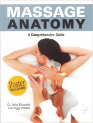 Massage Anatomy a Comprehensive Guide