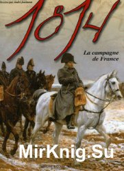 1814, La Campagne de France: LAigle Blesse