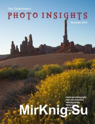 Photo Insights November 2016