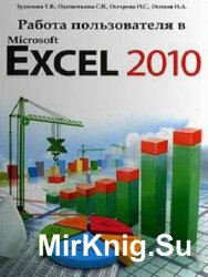    Microsoft Excel 2010