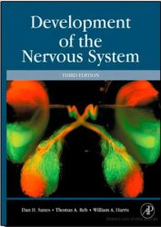 Development of the Nervous System, 3rd Edition