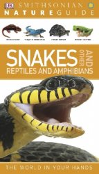 Nature Guide: Snakes and Other Reptiles and Amphibians