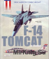 Grumman F-14 Tomcat in combat (Great American Combat Aircraft)