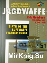 Jagdwaffe: Birth of the Luftwaffe Fighter Fore (Luftwaffe Colours: Volume One Section 1)