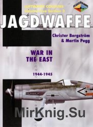 Jagdwaffe: War in the East 1944-1945 (Luftwaffe Colours: Volume Five Section 2)