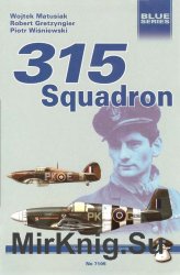 315 Squadron (Mushroom Blue Series 7105)