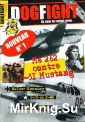 DogFight N1 - Juin/Juillet 2006