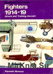 Fighters: Attack and Training Aircraft, 1914-19 (Colour)