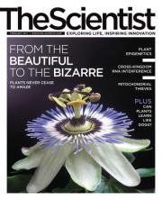 The Scientist  February 2017