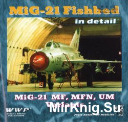 MiG-21 Fishbed in detail (WWP Blue Present Aircraft Line 7)