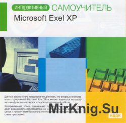   - Microsoft Exel XP