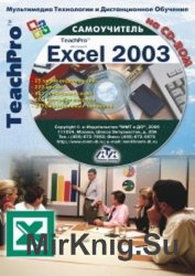 . Microsoft Excel 2003.  