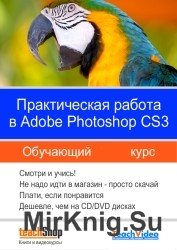 Adobe Photoshop CS3 -  