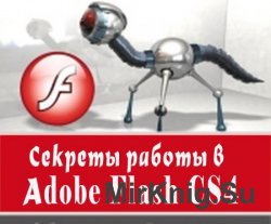    Adobe Flash CS4.  