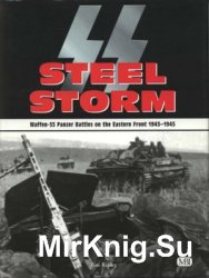 Steel Storm: Waffen-SS Panzer Battles on the Eastern Front 1943-1945