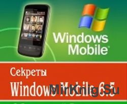  Windows Mobile 6.5.  