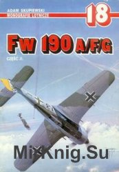 Focke-Wulf Fw-190 A/F/G Cz.2 (AJ-Press Monografie Lotnicze 18)