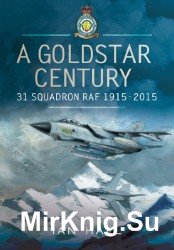 A Goldstar Century: 31 Squadron RAF 1915-2015