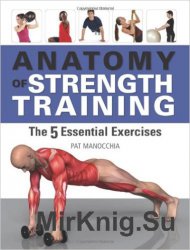 Anatomy Of Strength Training: The Five Essential Exercises
