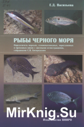 Рыбы Черного моря