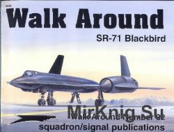 SR-71 Blackbird (Walk Around 5532)