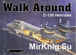 C-130 Hercules (Walk Around 5531)
