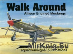 Allison Engined Mustangs (Walk Around 5513)