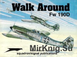 Fw 190D (Walk Around 5510)