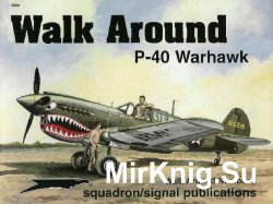 P-40 Warhawk (Walk Around 5508)