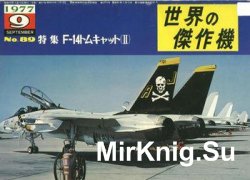 Grumman F-14 Tomcat (Part II) (Famous Airplanes of the World (old) 89)