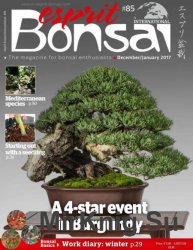 Esprit Bonsai International December 2016-January 2017