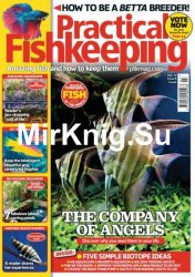 Practical Fishkeeping July 2017