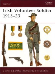 Irish Volunteer Soldier 191323