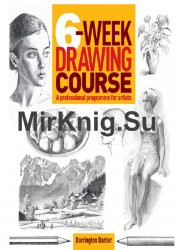 6-Week Drawing Course