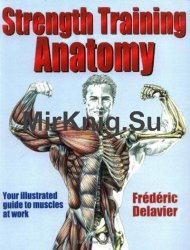 Strength Training Anatomy