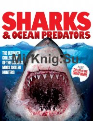 Sharks & Ocean Predators