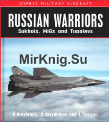 Russian Warriors: Sukhois, MiGs and Tupolevs (Osprey Military Aircraft)