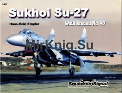 Sukhoi SU-27 Flanker (Walk Around 5547)