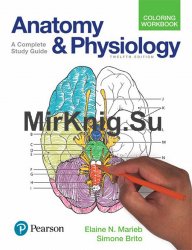 Anatomy and Physiology Coloring Workbook: A Complete Study Guide (12th Edition)